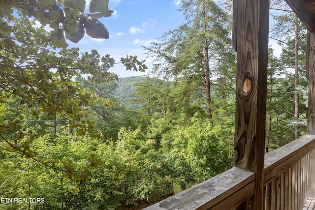2622 Raccoon Hollow Way, Sevierville, TN 37862 - photo 27