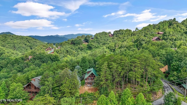 2622 Raccoon Hollow Way, Sevierville, TN 37862 - photo 34