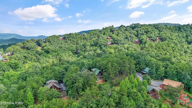 2622 Raccoon Hollow Way, Sevierville, TN 37862 - photo 35