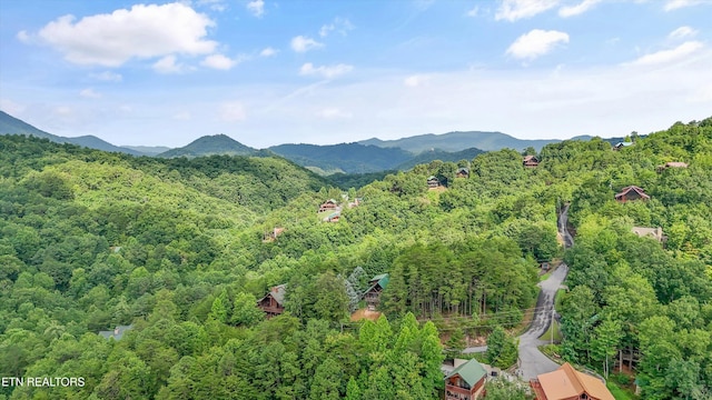 2622 Raccoon Hollow Way, Sevierville, TN 37862 - photo 37
