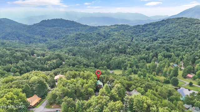 2622 Raccoon Hollow Way, Sevierville, TN 37862 - photo 40