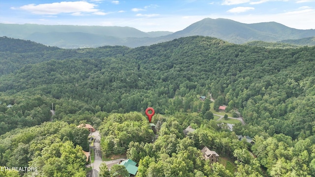 2622 Raccoon Hollow Way, Sevierville, TN 37862 - photo 41