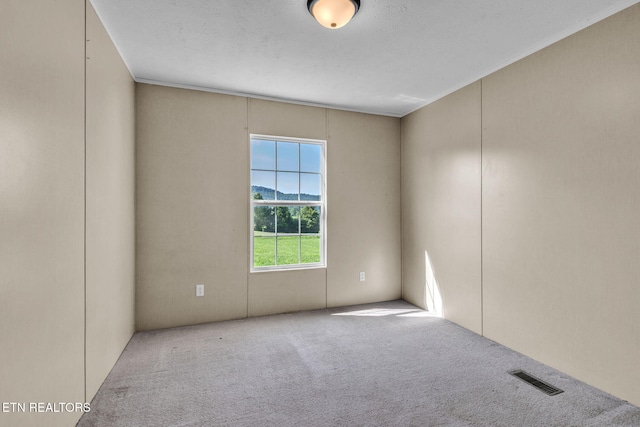 233 Orange Ln, Speedwell, TN 37870 - photo 27