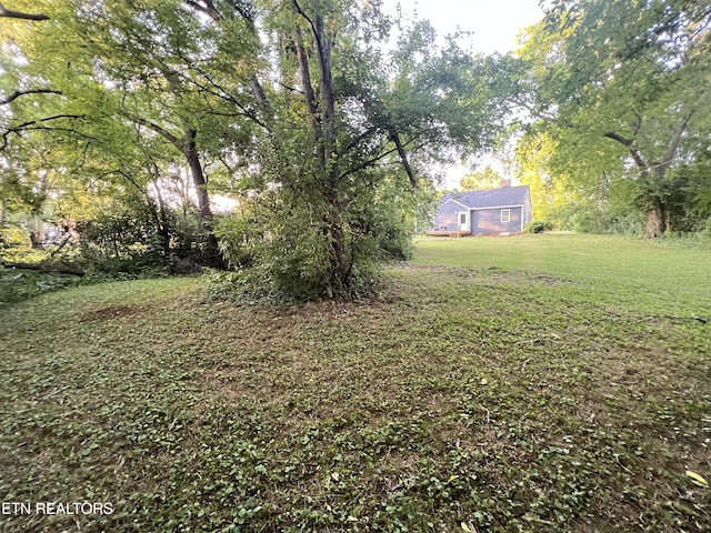 105 Rose Ave, Alcoa, TN 37701 - photo 27