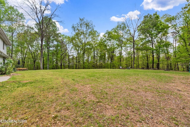 149 Mike Miller Ln, Clinton, TN 37716 - photo 23