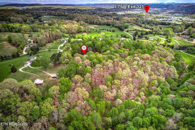 149 Mike Miller Ln, Clinton, TN 37716 - photo 28