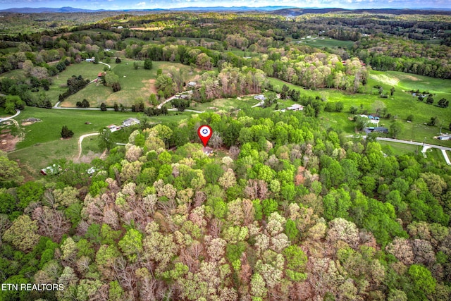 149 Mike Miller Ln, Clinton, TN 37716 - photo 29