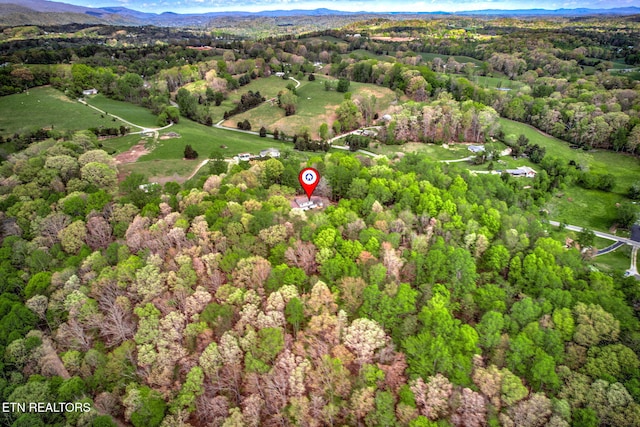 149 Mike Miller Ln, Clinton, TN 37716 - photo 30