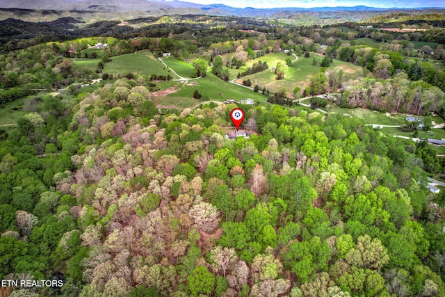 149 Mike Miller Ln, Clinton, TN 37716 - photo 31