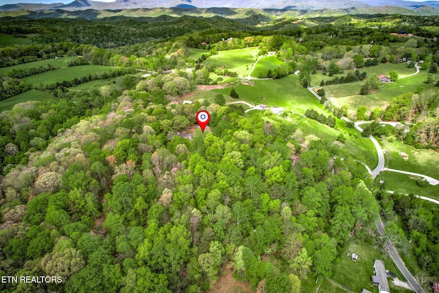 149 Mike Miller Ln, Clinton, TN 37716 - photo 32