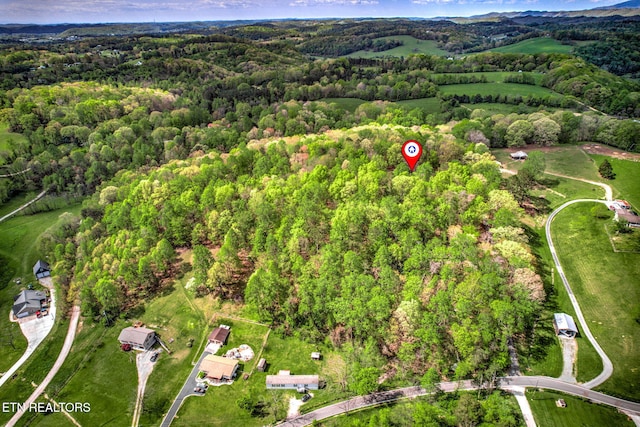 149 Mike Miller Ln, Clinton, TN 37716 - photo 34