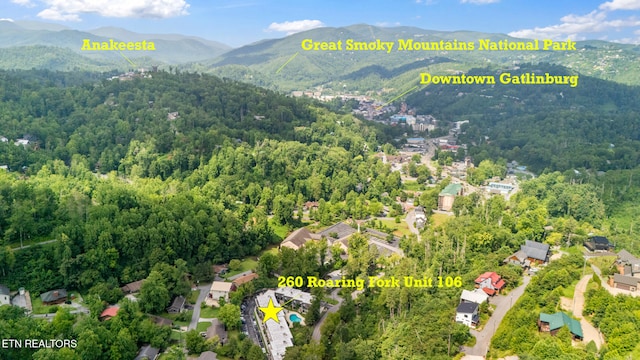 260 Roaring Fork Rd Unit 106, Gatlinburg, TN 37738 - photo 5