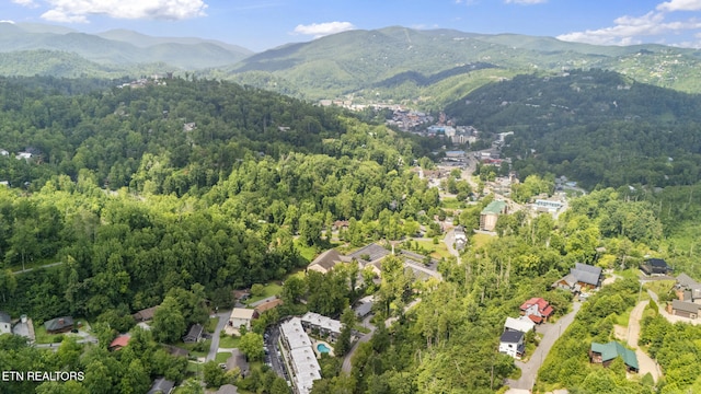 260 Roaring Fork Rd Unit 106, Gatlinburg, TN 37738 - photo 26