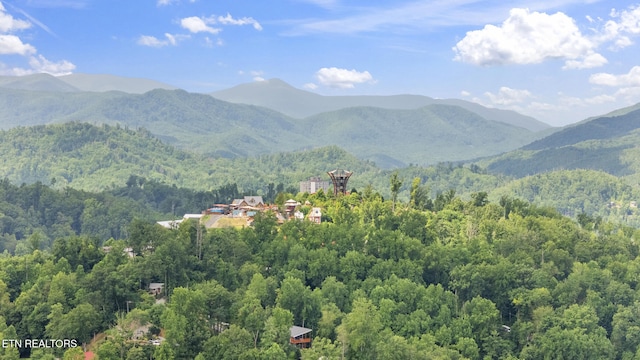 260 Roaring Fork Rd Unit 106, Gatlinburg, TN 37738 - photo 27