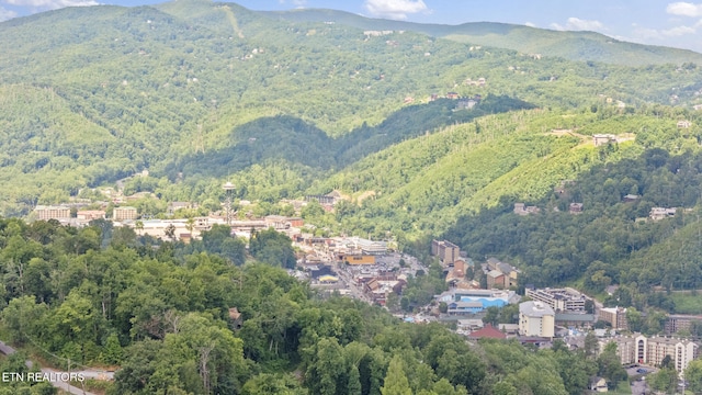 260 Roaring Fork Rd Unit 106, Gatlinburg, TN 37738 - photo 28