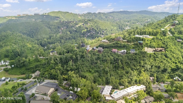 260 Roaring Fork Rd Unit 106, Gatlinburg, TN 37738 - photo 29