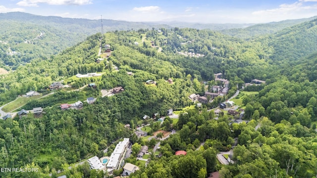260 Roaring Fork Rd Unit 106, Gatlinburg, TN 37738 - photo 30