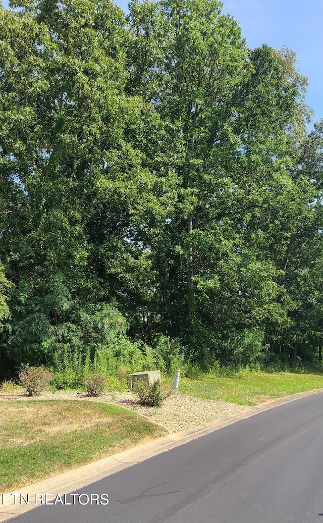 400 Catoosa Ln, Loudon, TN 37774 - photo 1