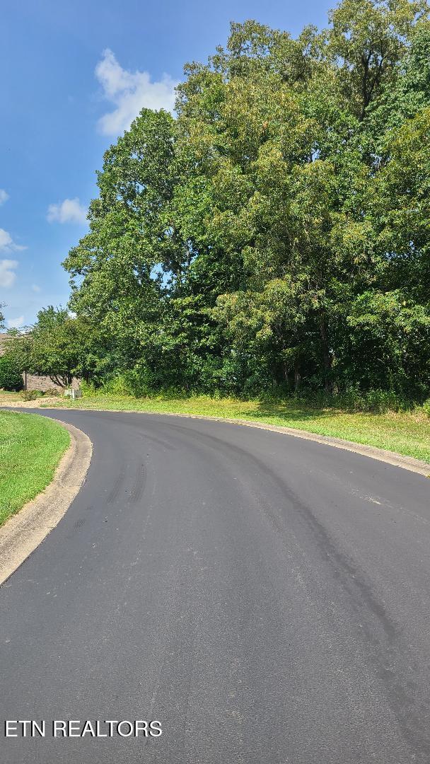 400 Catoosa Ln, Loudon, TN 37774 - photo 2