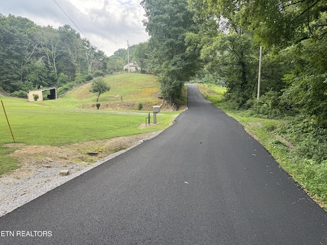 3434 Bridges Chapel Rd, Dandridge, TN 37725 - photo 4