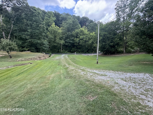 3434 Bridges Chapel Rd, Dandridge, TN 37725 - photo 7