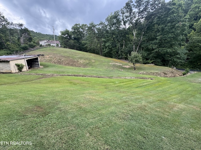 3434 Bridges Chapel Rd, Dandridge, TN 37725 - photo 8