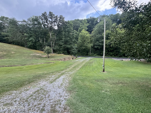 3434 Bridges Chapel Rd, Dandridge, TN 37725 - photo 9