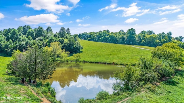 1109 Sands Rd, Sweetwater, TN 37874 - photo 56