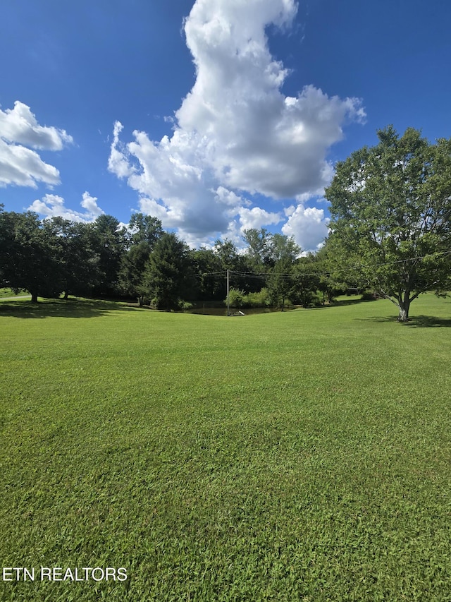115 Cherry St, Deer Lodge, TN 37726 - photo 3
