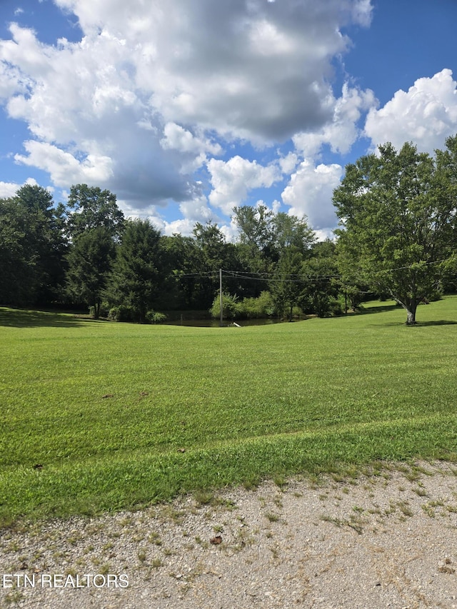 115 Cherry St, Deer Lodge, TN 37726 - photo 4