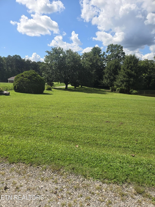 115 Cherry St, Deer Lodge, TN 37726 - photo 6