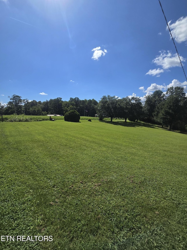 115 Cherry St, Deer Lodge, TN 37726 - photo 7
