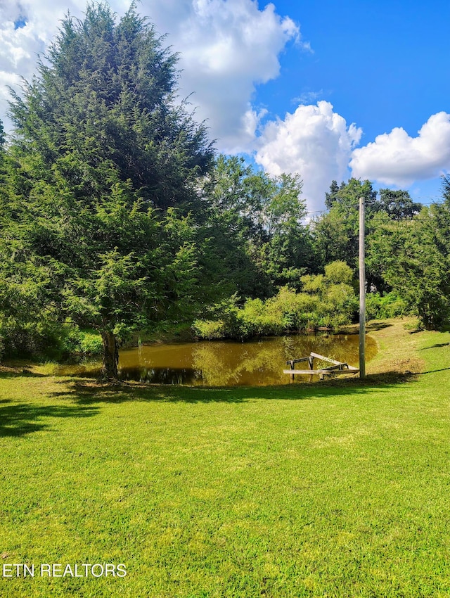 115 Cherry St, Deer Lodge, TN 37726 - photo 16