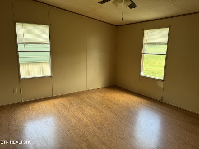 116 Roberts Ln, Tazewell, TN 37879 - photo 5