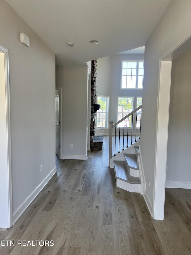 12117 Bethel Hollow Dr, Knoxville, TN 37932 - photo 2