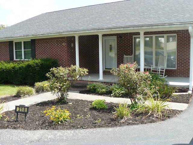 218 Adair Dr, New Tazewell, TN 37825 - photo 4