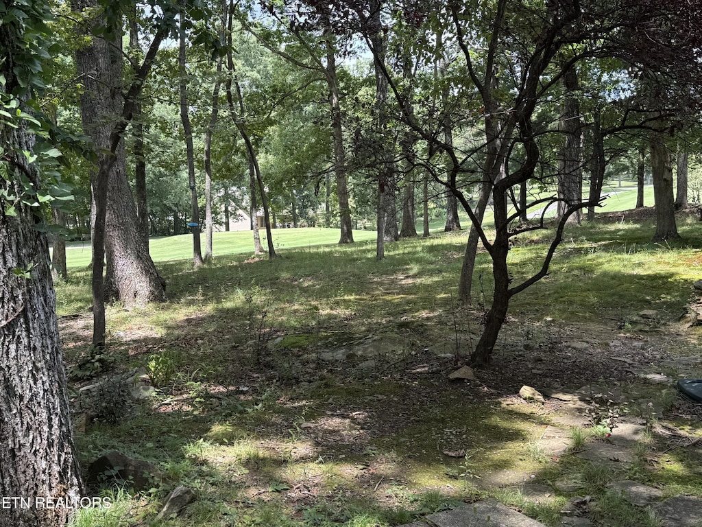 124 Rolling Green Dr, Crossville, TN 38558 - photo 2