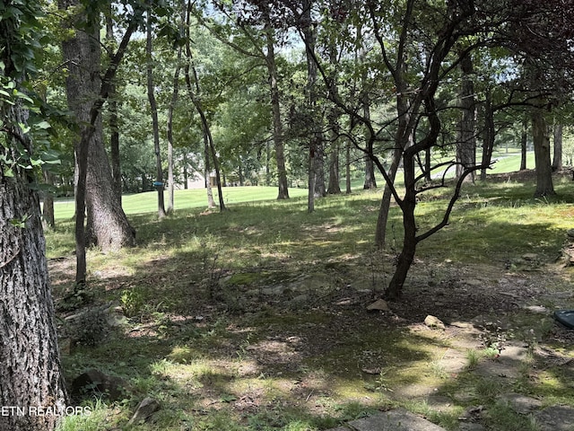 124 Rolling Green Dr, Crossville, TN 38558 - photo 2