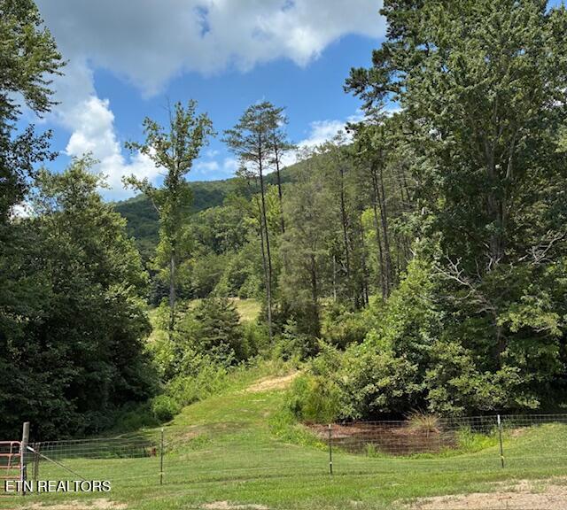 917 Poor Valley Rd, Rogersville, TN 37857 - photo 28