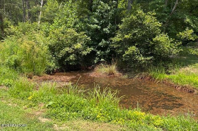 917 Poor Valley Rd, Rogersville, TN 37857 - photo 30
