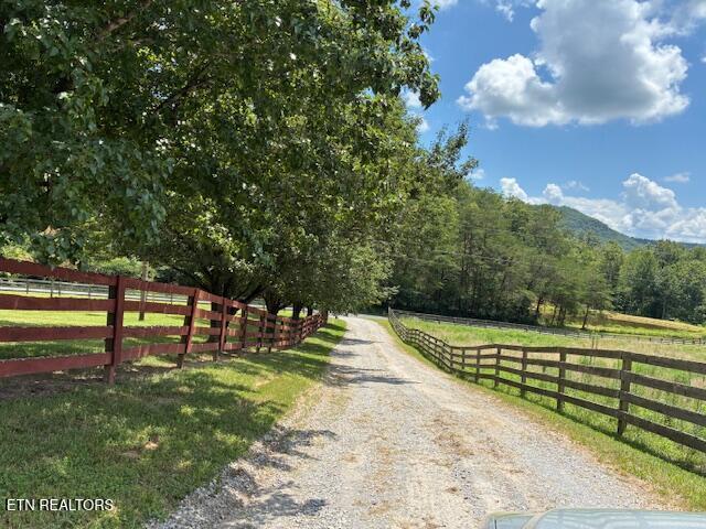917 Poor Valley Rd, Rogersville, TN 37857 - photo 3