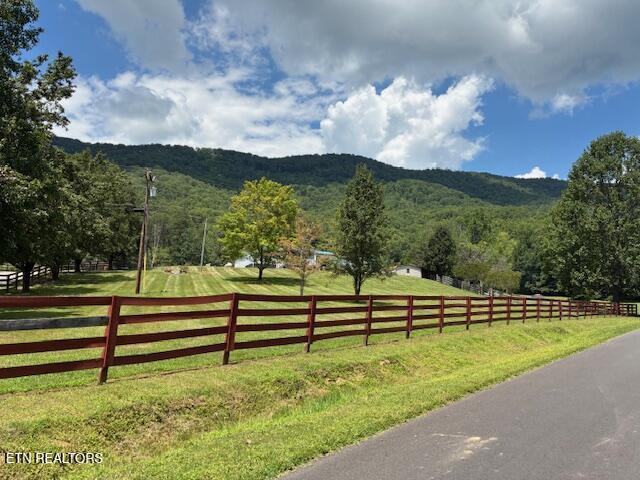 917 Poor Valley Rd, Rogersville, TN 37857 - photo 2
