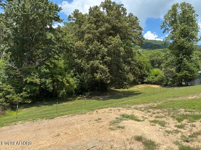917 Poor Valley Rd, Rogersville, TN 37857 - photo 29