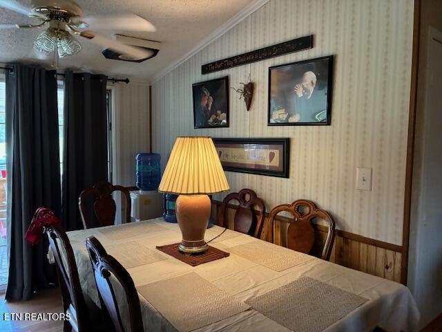 917 Poor Valley Rd, Rogersville, TN 37857 - photo 8
