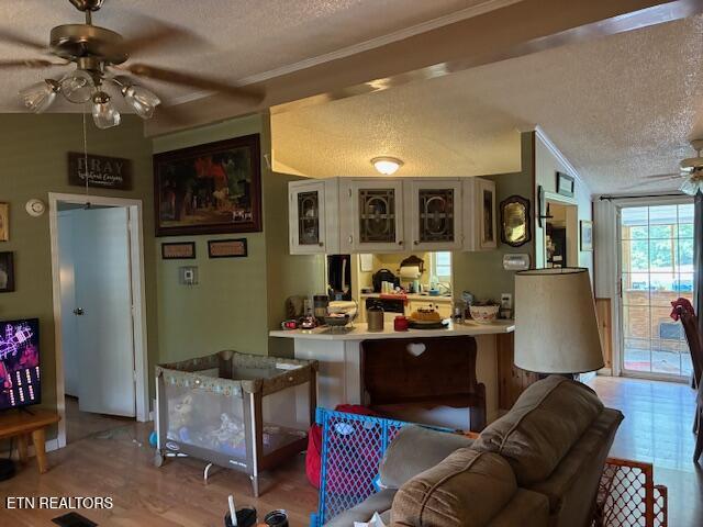 917 Poor Valley Rd, Rogersville, TN 37857 - photo 10