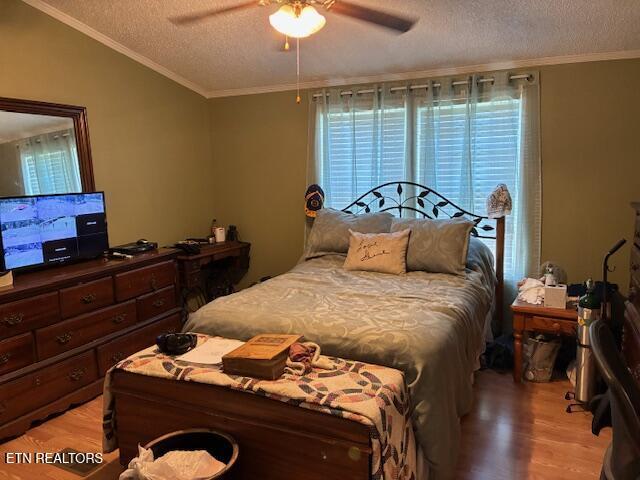 917 Poor Valley Rd, Rogersville, TN 37857 - photo 15