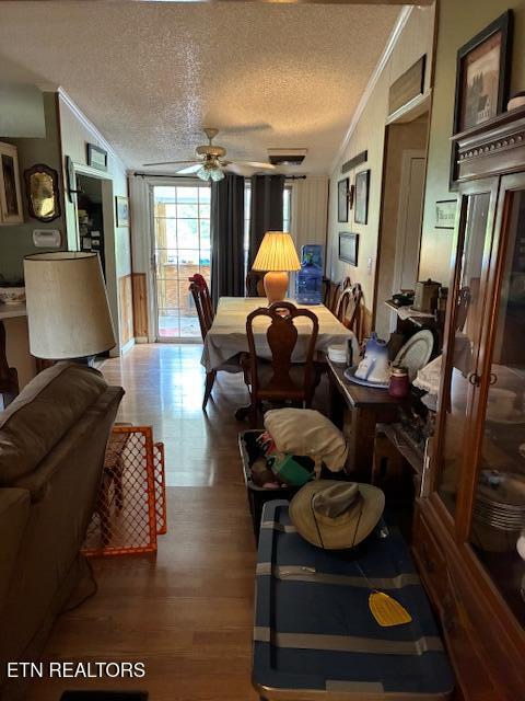 917 Poor Valley Rd, Rogersville, TN 37857 - photo 7