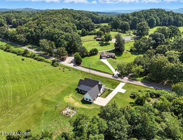 541 Hillvale Rd, Andersonville, TN 37705 - photo 11