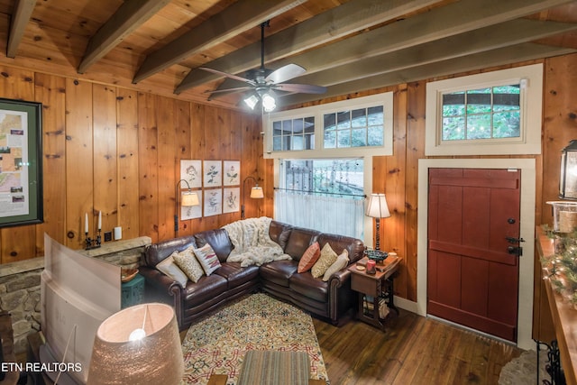 259 Black Mash Hollow Rd, Townsend, TN 37882 - photo 17