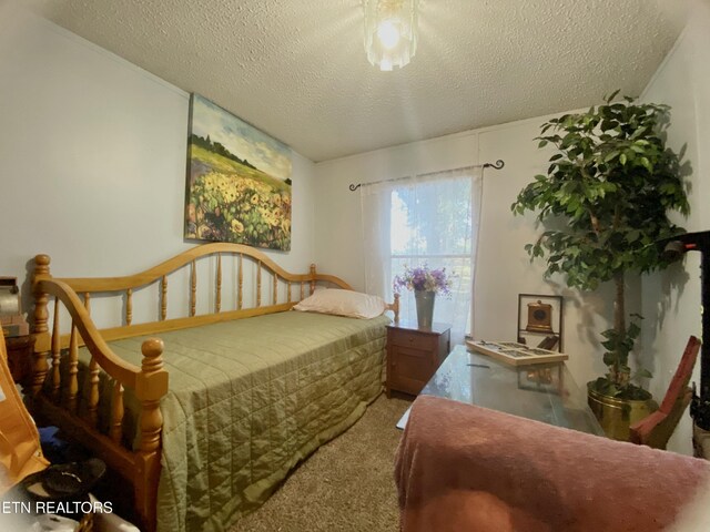 526 Forkners Chapel Rd, Sweetwater, TN 37874 - photo 12